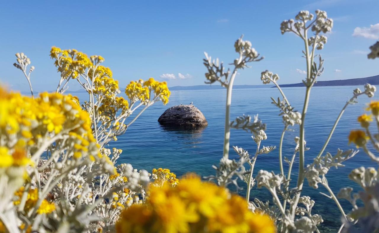 Skalinada With Sea View Apartment Brela